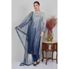 Silver & Blue Shaded Shimmering Salwar Suit