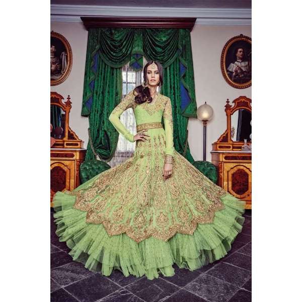 Light Green Zari Embroidered Anarkali Suit